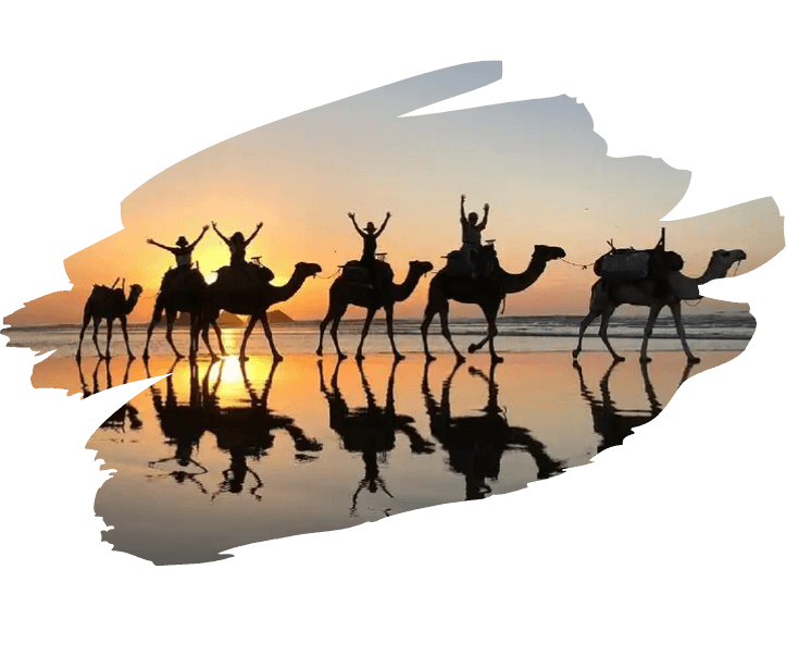 camel ride essaouira